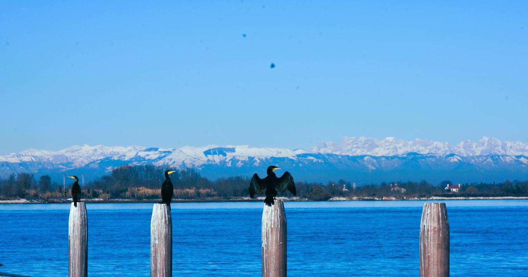 Appartamento Con Vista A Cavallino Venezia Экстерьер фото